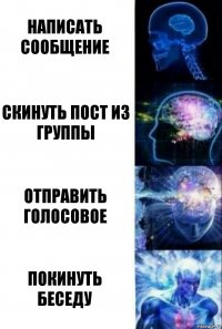 Написать сообщение Скинуть пост из группы Отправить голосовое Покинуть беседу