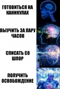 Готовиться на каникулах Выучить за пару часов Списать со шпор Получить освобождение