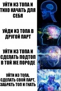 уйти из топа и тихо качать для себя уйди из топа в другой парт уйти из топа и сделать подтоп в той же породе уйти из топа, сделать свой парт, забрать топ и гнать