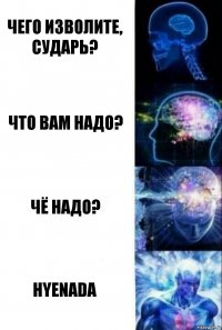 Чего изволите, сударь? Что вам надо? Чё надо? Hyenada