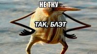 не тку 