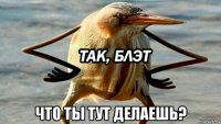  что ты тут делаешь?