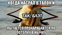 когда насрал в тапок и пытается прокарабкатся по потолку в нычку