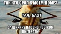 так кто срал в моём доме? за шкирку и говно языком вытерать!