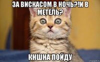 за вискасом в ночь?!и в метель? кншна пойду