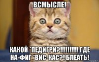 всмысле! какой *педигри?!!!!!!!!!! где на-фиг *вис-кас?! блеать!