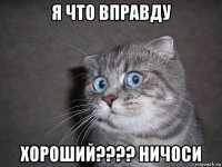 я что вправду хороший???? ничоси