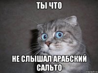 ты что не слышал арабский сальто