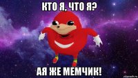 кто я, что я? ая же мемчик!