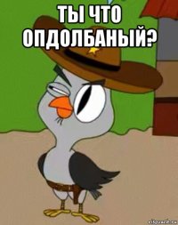 ты что опдолбаный? 