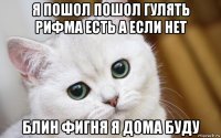 я пошол пошол гулять рифма есть а если нет блин фигня я дома буду