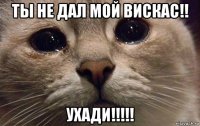 ты не дал мой вискас!! ухади!!!!!