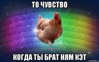 то чувство когда ты брат ням кэт