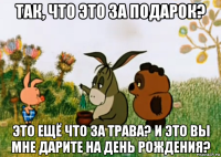 так, что это за подарок? это ещё что за трава? и это вы мне дарите на день рождения?