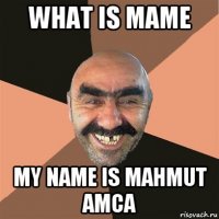 what is mame my name is mahmut amca