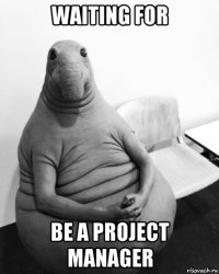 waiting for be a project manager