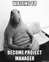 waiting to become project manager