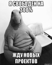 я свободен на 300% жду новых проектов