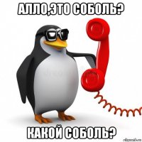 алло,это соболь? какой соболь?