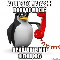 алло это магазин посудомоек? пришлите мне женщину