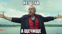 не щека а щечище