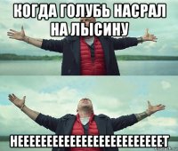 когда голубь насрал на лысину нееееееееееееееееееееееееет