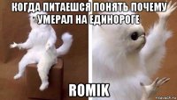 когда питаешся понять почему умерал на единороге romik