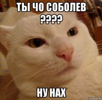 ты чо соболев ???? ну нах