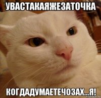 увастакаяжезаточка когдадумаетечозах...я!