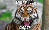 тащи мясо сюда !