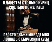 я дам тебе столько куриц, сколько пожелаеш просто скажи мне где моя лошадь с ебическим хуем