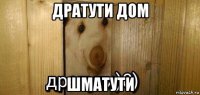 дратути дом шматути