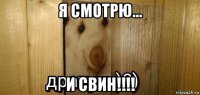 я смотрю... и свин!!!!