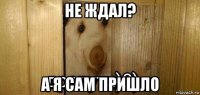 не ждал? а я сам пришло