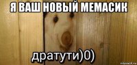 я ваш новый мемасик 