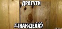 дратути как дела?