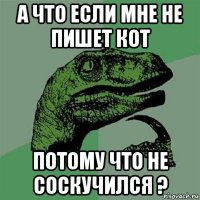 а что если мне не пишет кот потому что не соскучился ?