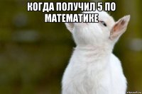 когда получил 5 по математике 