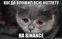 когда вложил всю котлету на binance