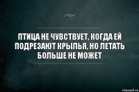 Птица не чувствует, когда ей подрезают крылья, но летать больше не может