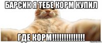 барсик я тебе корм купил где корм!!!!!!!!!!!!!!