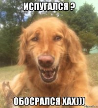 испугался ? обосрался хах)))