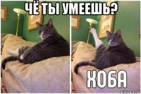 чё ты умеешь? 