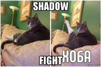 shadow fight