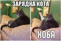 зарядка кота 