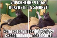 упражнение чтобы похудеть за 5 минут! коты которые воруют колбасу с холодильника повторяйте!