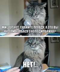 Мистер Кот, скажите правду, а это вы украли колбасу с холодильника? Нет!..