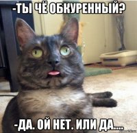 -ты чё обкуренный? -да. ой нет. или да....