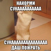 накорми сукаааааааааа сукааааааааааааааа даш пожрать