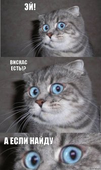 эй! вискас есть!? а если найду